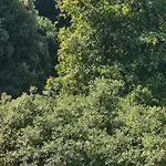 Maison Bois 公寓 Grosseto-Prugna