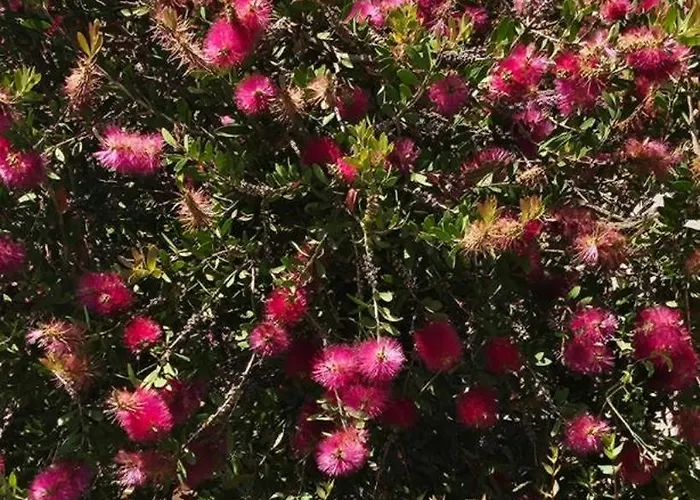 Maison Bois * Grosseto-Prugna