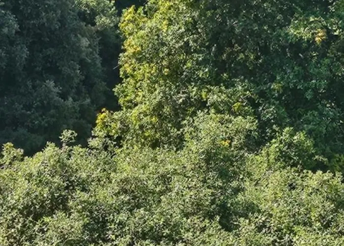 Maison Bois Appartement Grosseto-Prugna